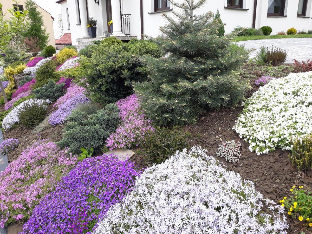Apartament Wika Appartement Wieliczka Buitenkant foto